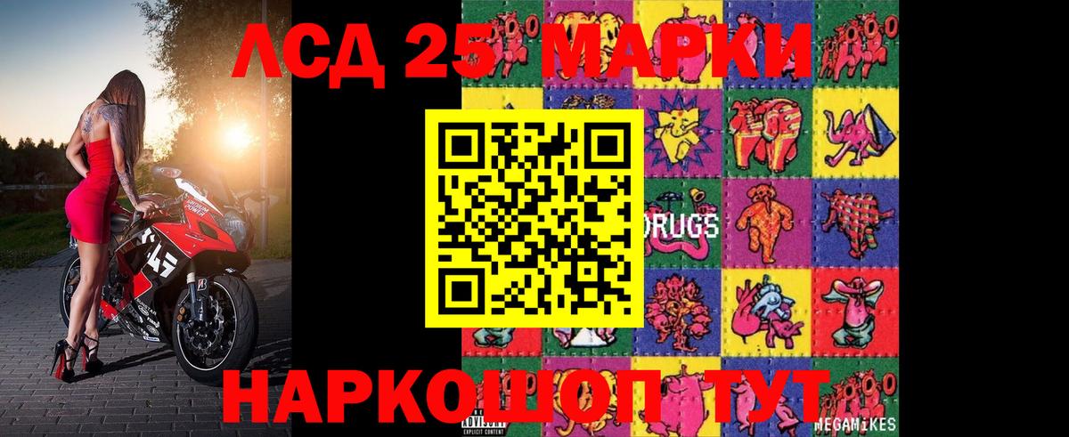 Сальск  Лсд 25 экстази кислота  Лсд 25 экстази кислота  Вход с VPN 
