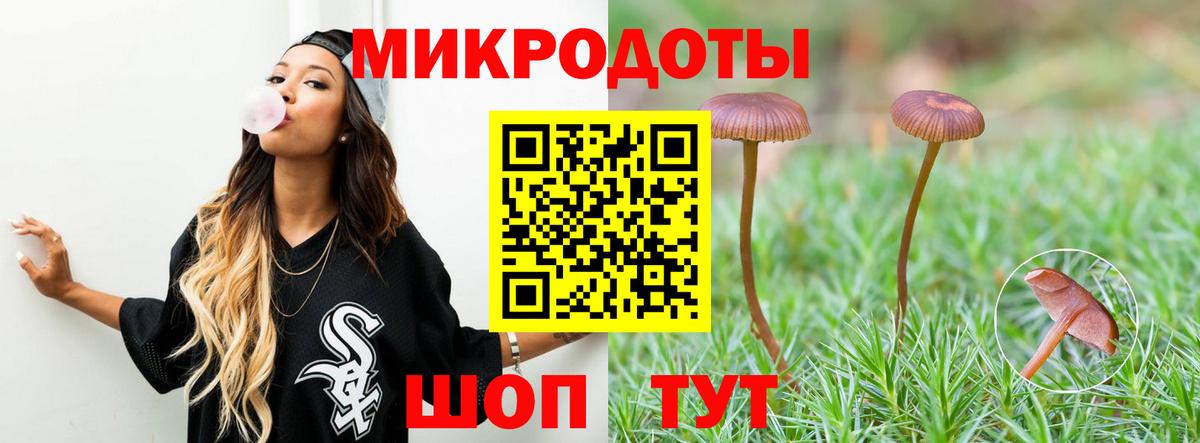 Галлюциногенные грибы Psilocybe Сальск